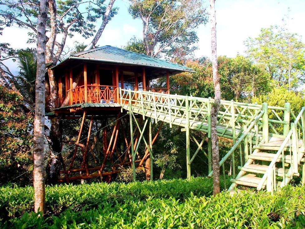 Dream Catcher Resort Муннар Экстерьер фото