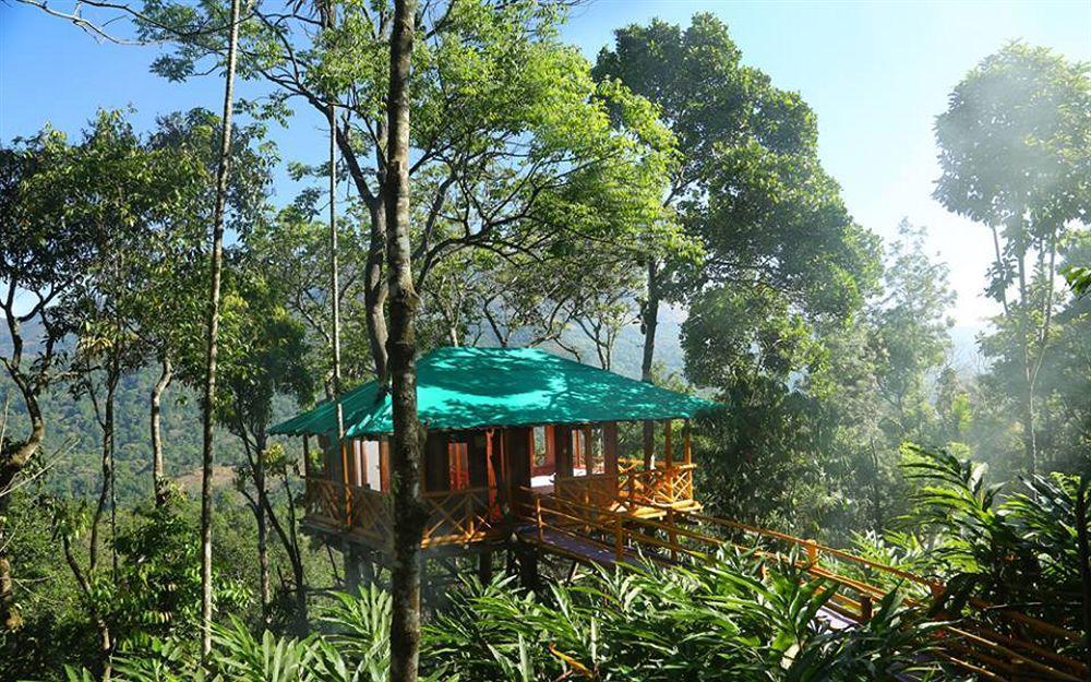Dream Catcher Resort Муннар Экстерьер фото