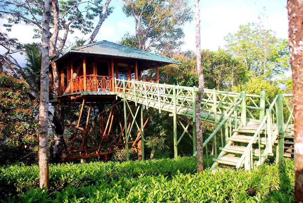 Dream Catcher Resort Муннар Экстерьер фото